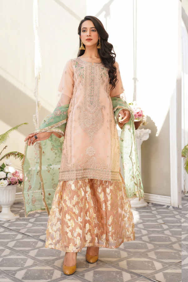 Lush Embroidered Organza 3 Piece Suit L-116